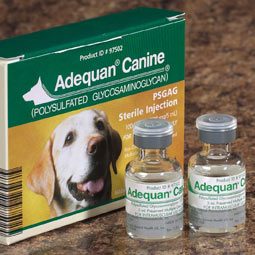 Adequan Canine 2 x 5ml vials