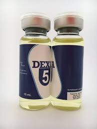 DEXA 5